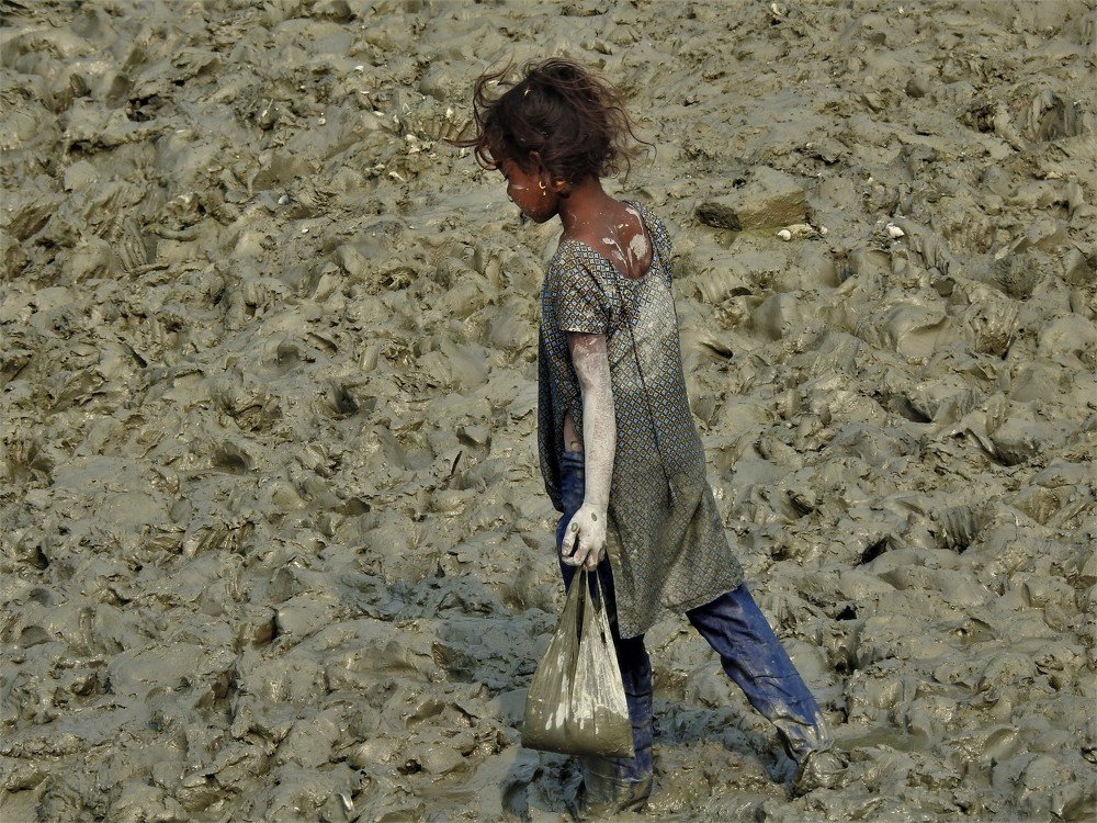 Photograph by Rajeev Sinha