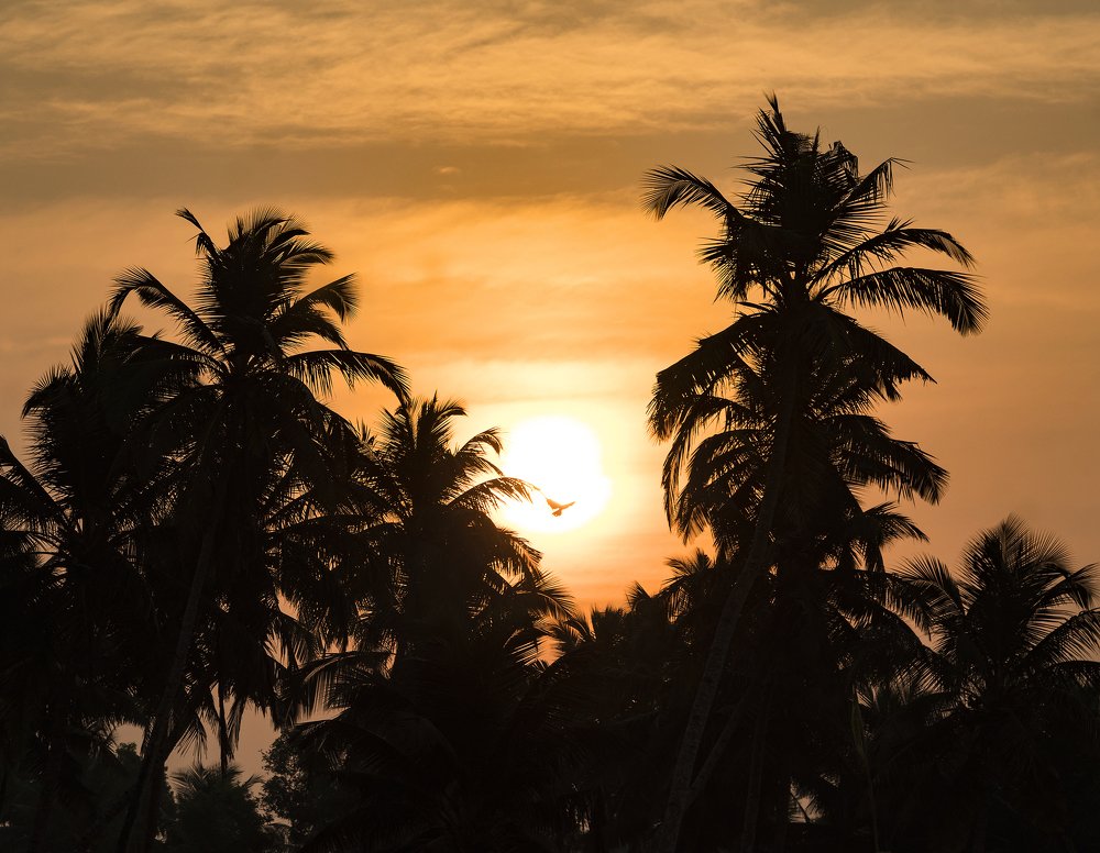 Photograph by Алексей Максимов