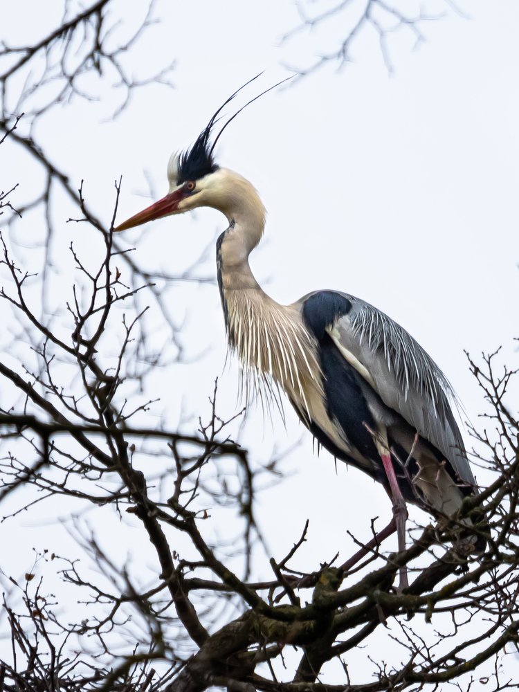 Photograph by Андрей Иванов