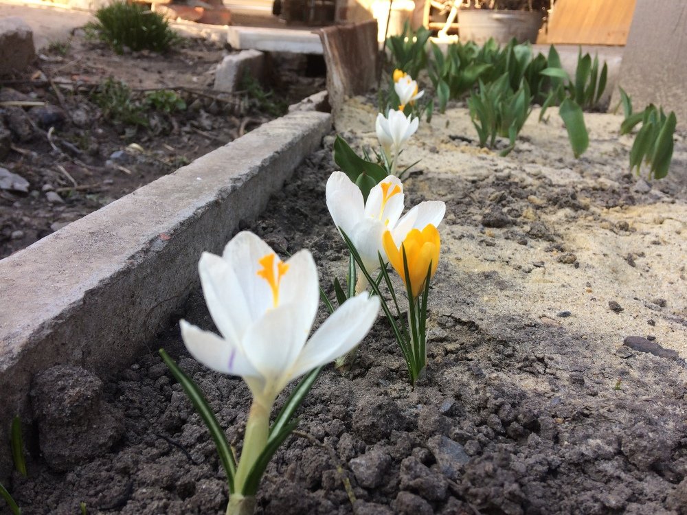 Photograph by ИГОРЬ