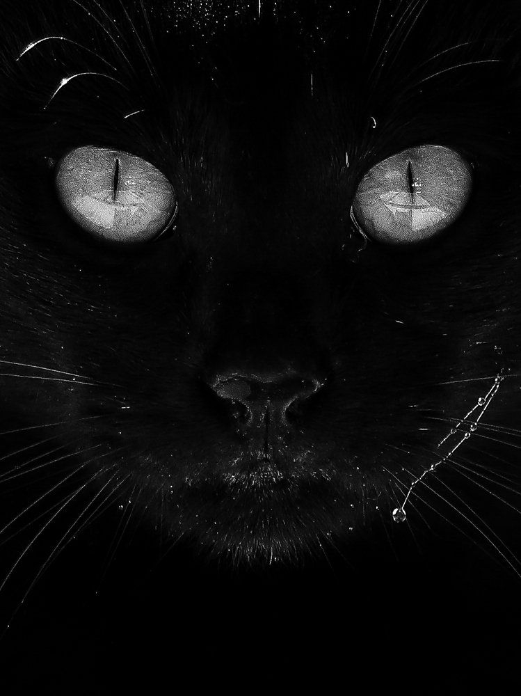 Photograph by Георгий Акопджанов