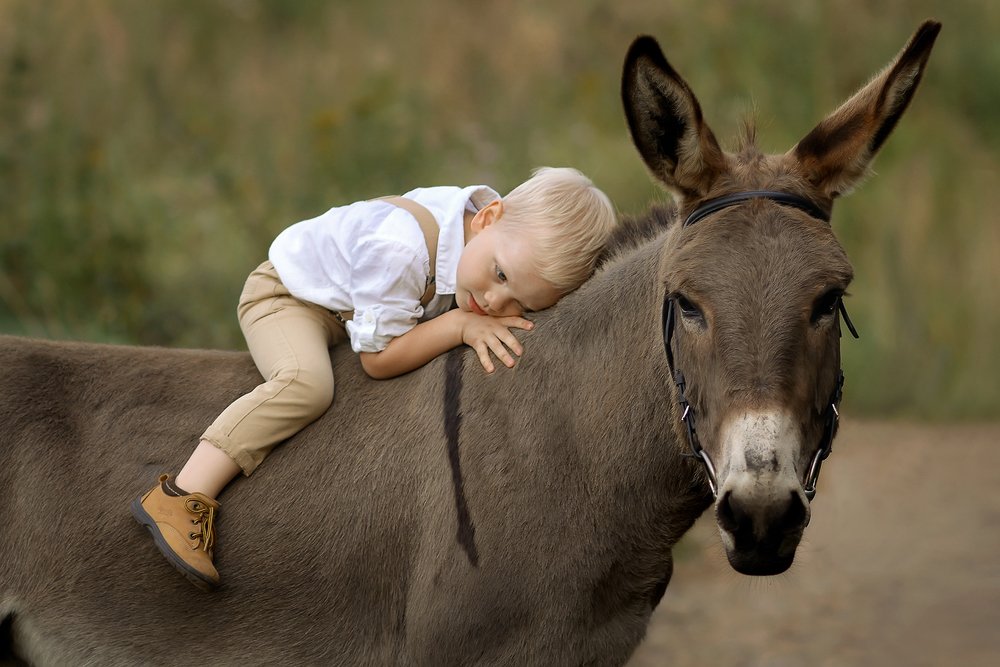 Фотография автора Любовь Белугина