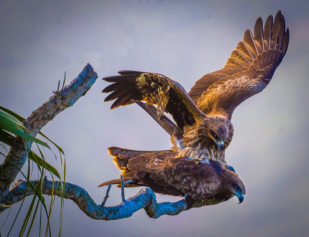 Фотография автора Maurice Leung