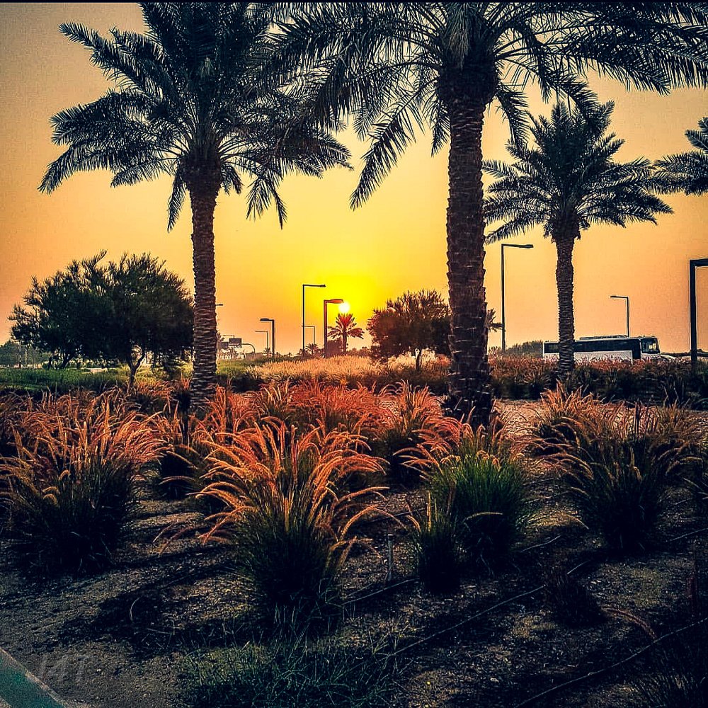 Sunrise