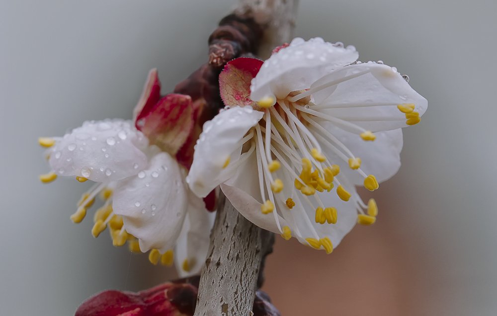 Photograph by Валерий Басыров