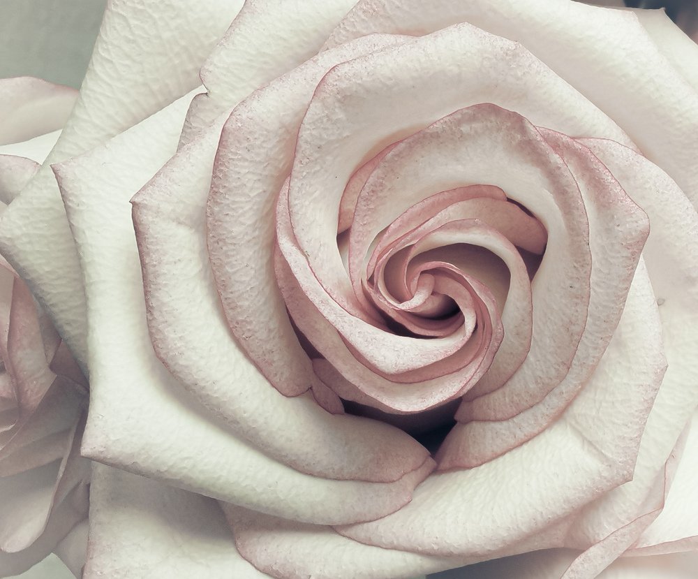 Photograph by Ксения Супрун