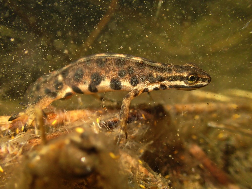 Photograph by Maciej Bonk