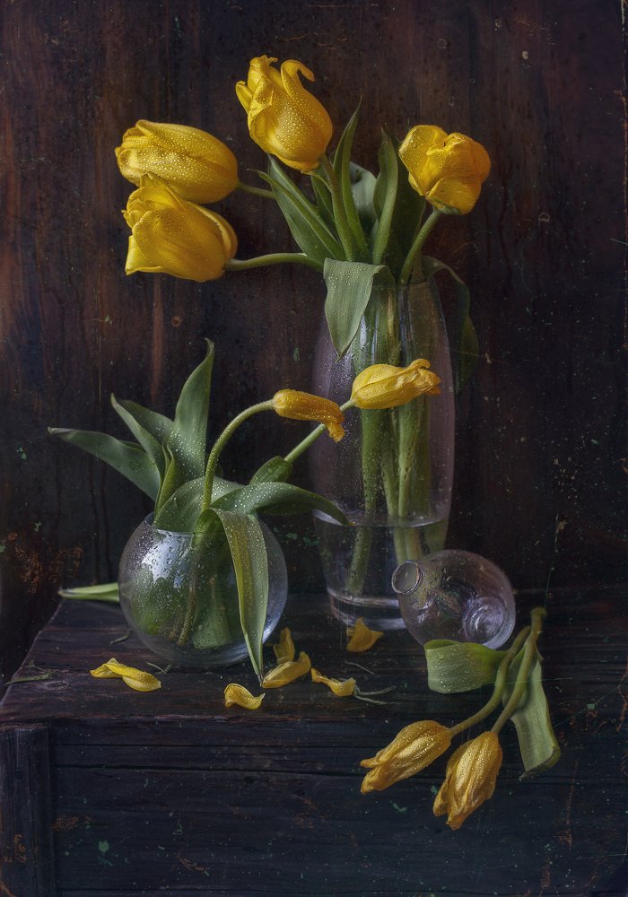 Photograph by Svoboda Andreeva