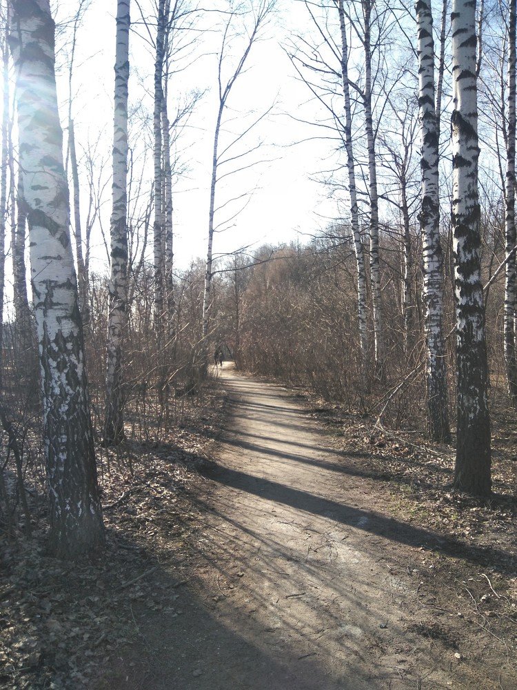 Photo #4469367