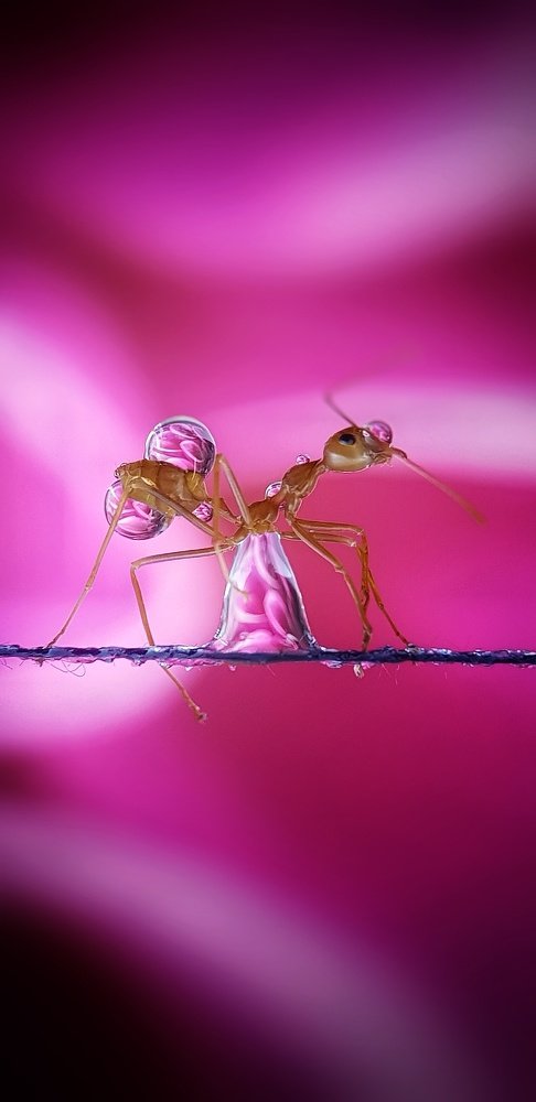 Фотография автора Analiza Daran De Guzman