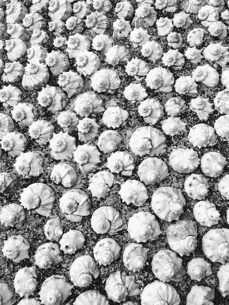 Photograph by Маргарита Тиунова