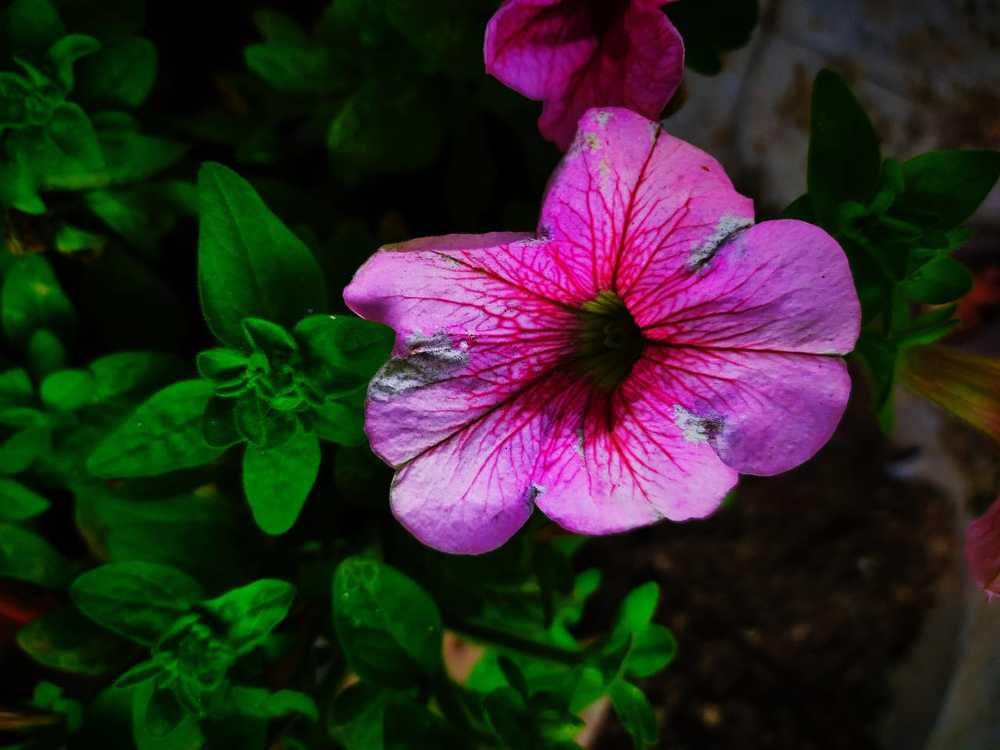 Photograph by Aritra Biswas
