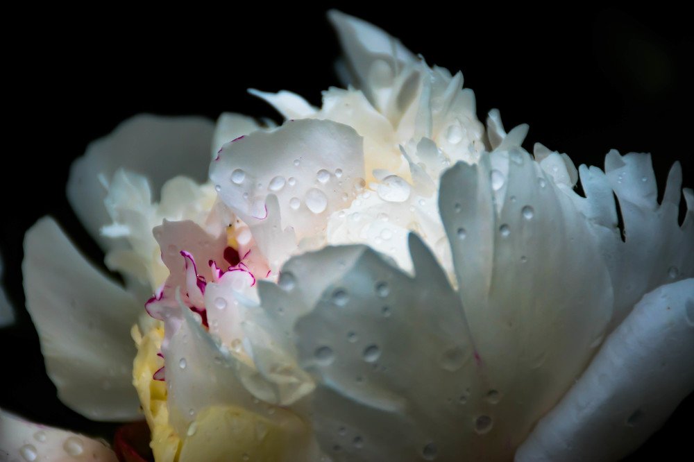 Photograph by Елена Прохорова