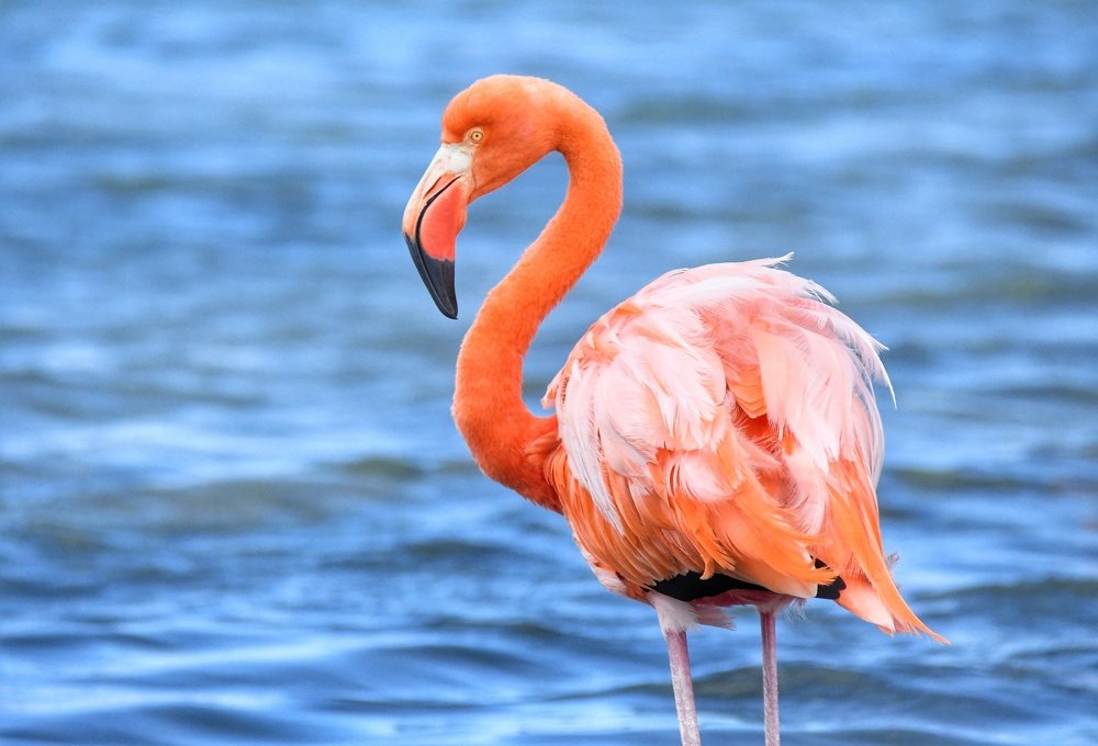 Photograph by Jorge Carrión