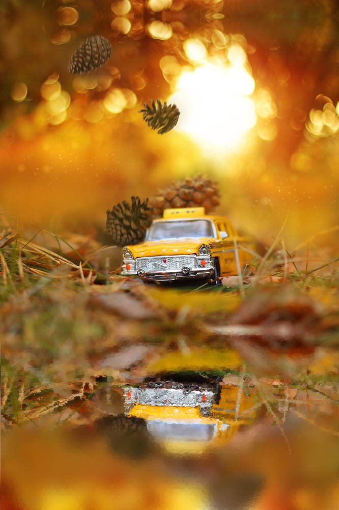 Photograph by Александр Большаков