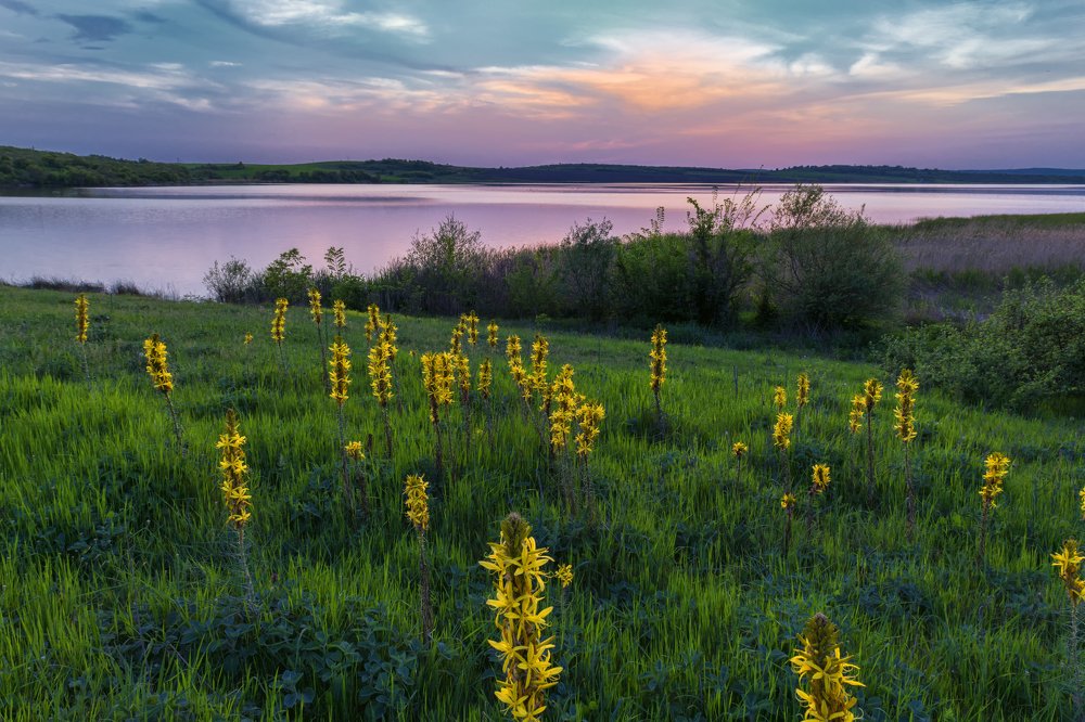 Photograph by Георги Христов