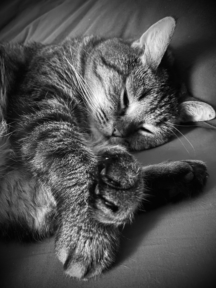 ДРЕМА (полусон)