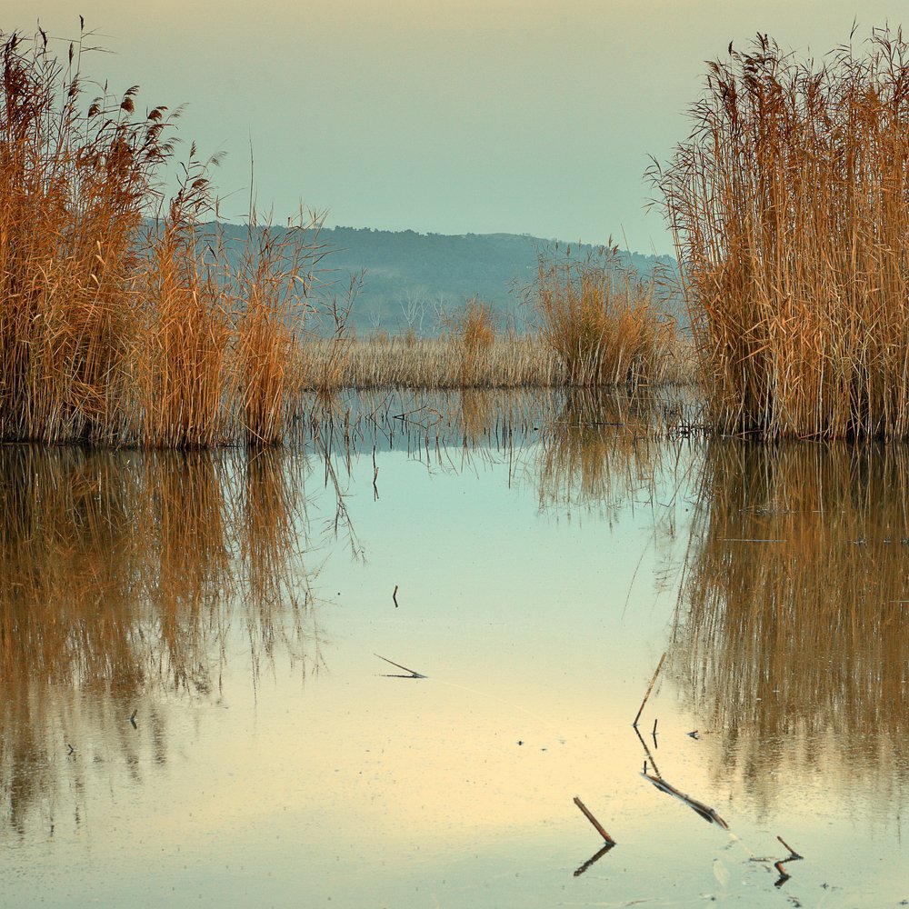 Photograph by Kay Jay
