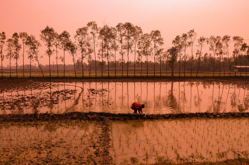 Just before the Sunset...