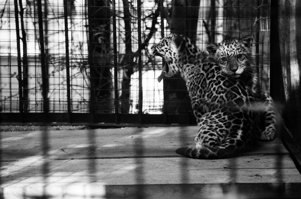 Photograph by Иван Головлев