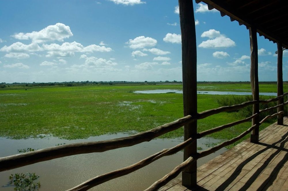 Photograph by jesus maria ramirez