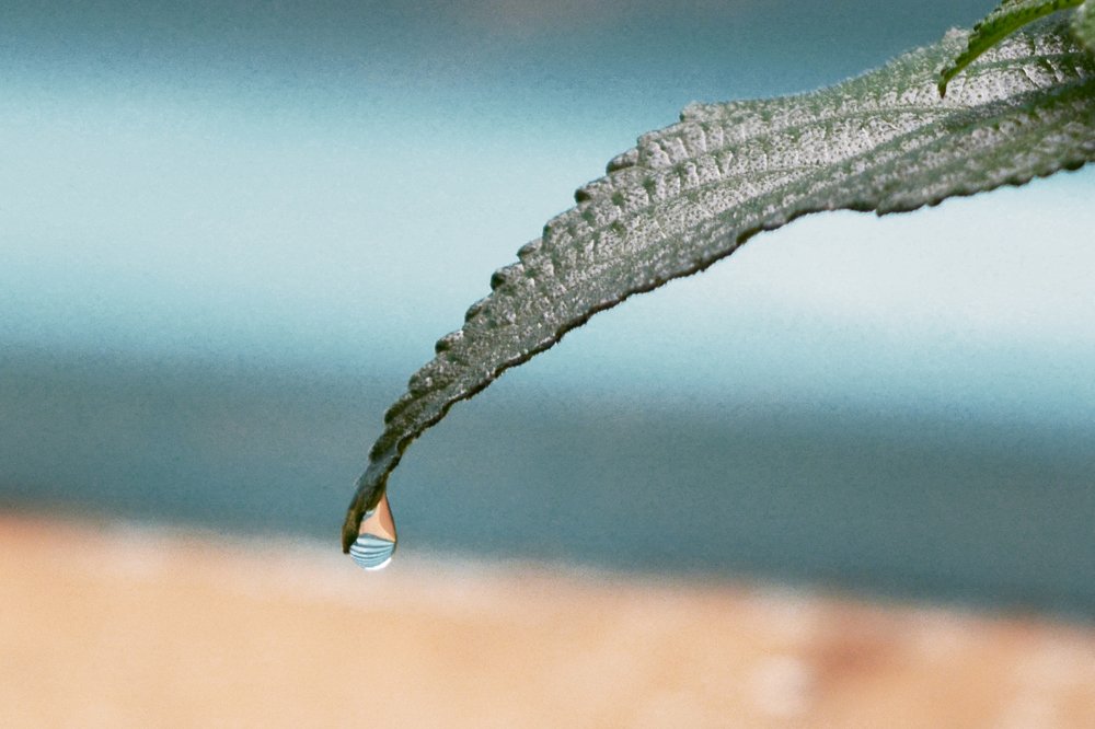 Photograph by berhane habtemariam