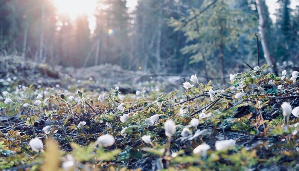 Photograph by Rustam Bekmansurov