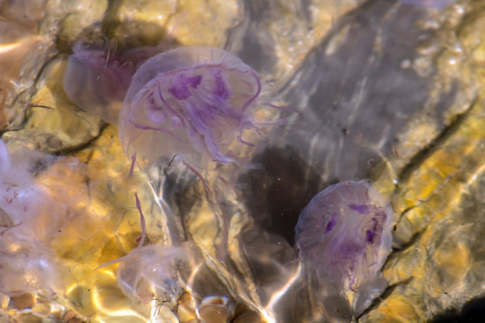 Фотография автора Ismail SAIDI