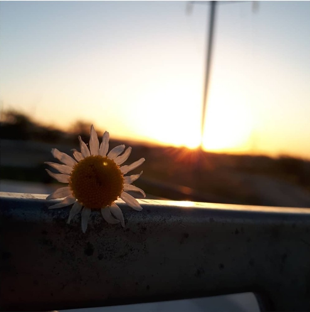 Photograph by Ислам