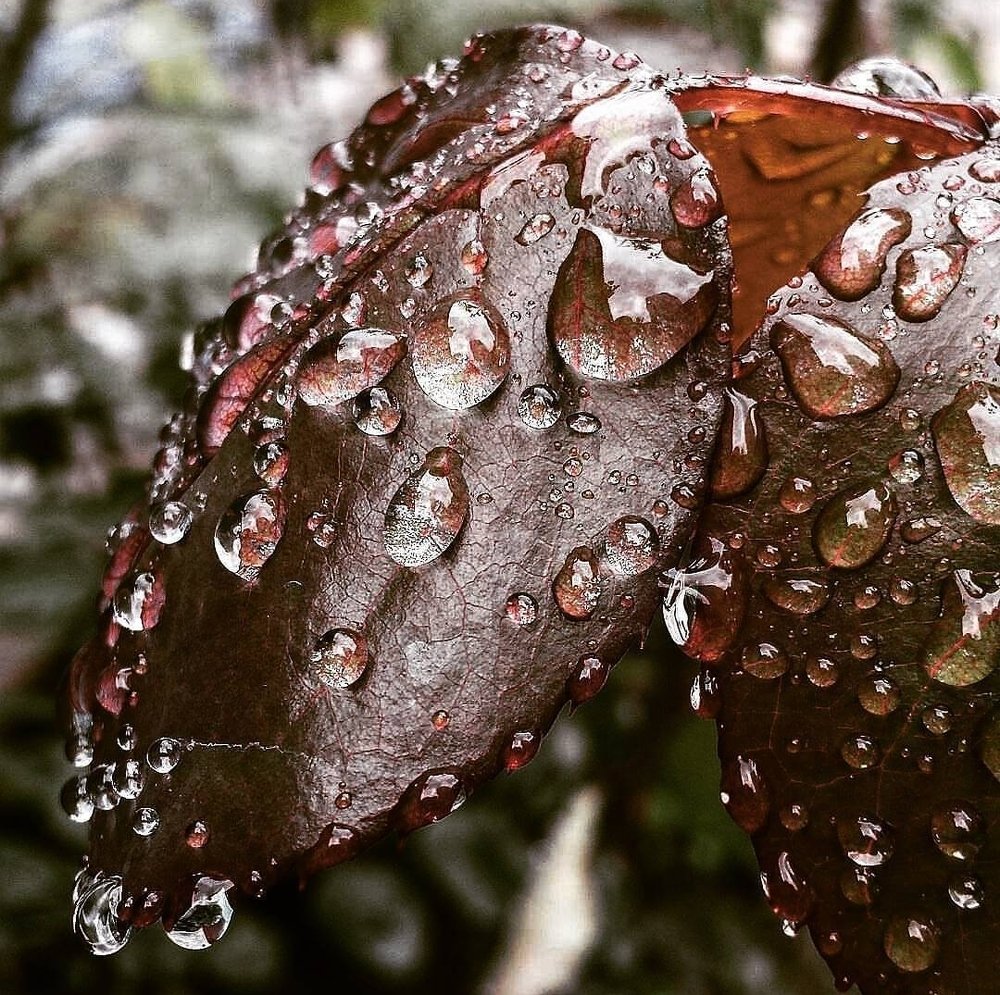 Photograph by Ислам