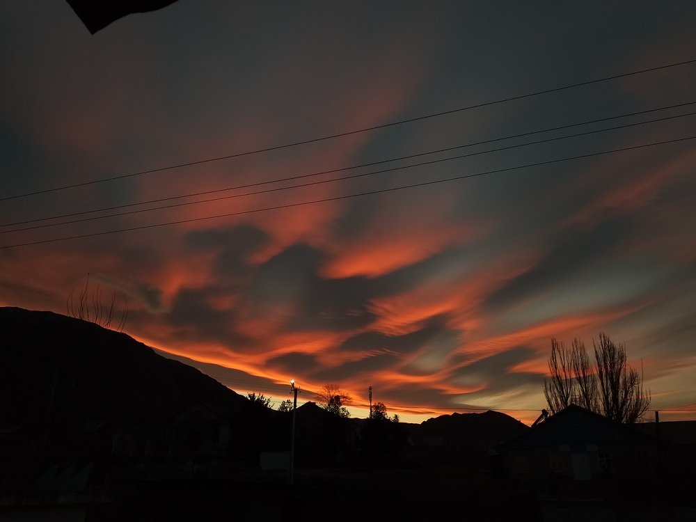Photo #4470445