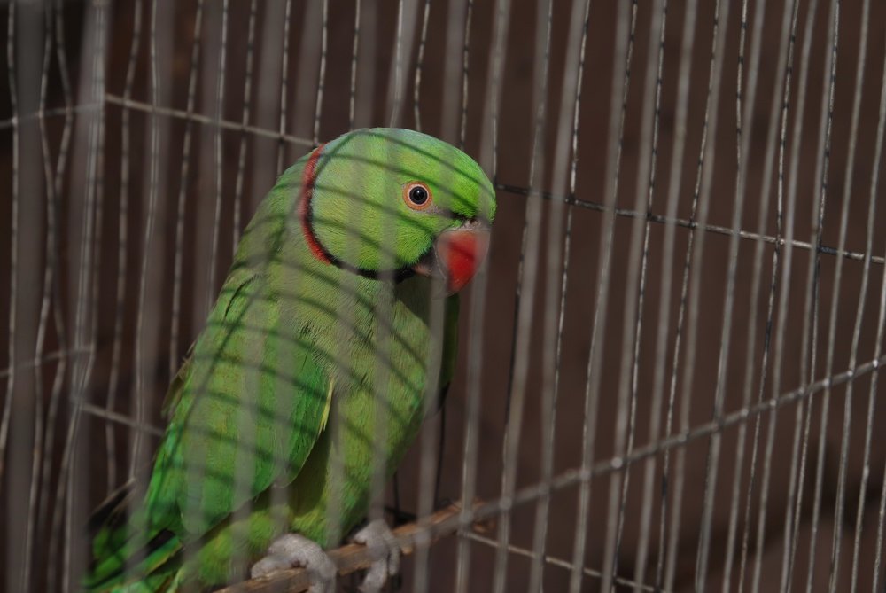 Photograph by Shahnawz Ali