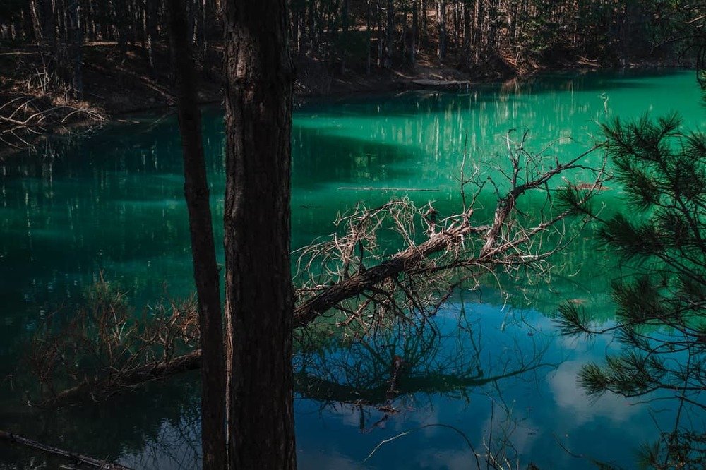 Photograph by Сергей Рощепкин