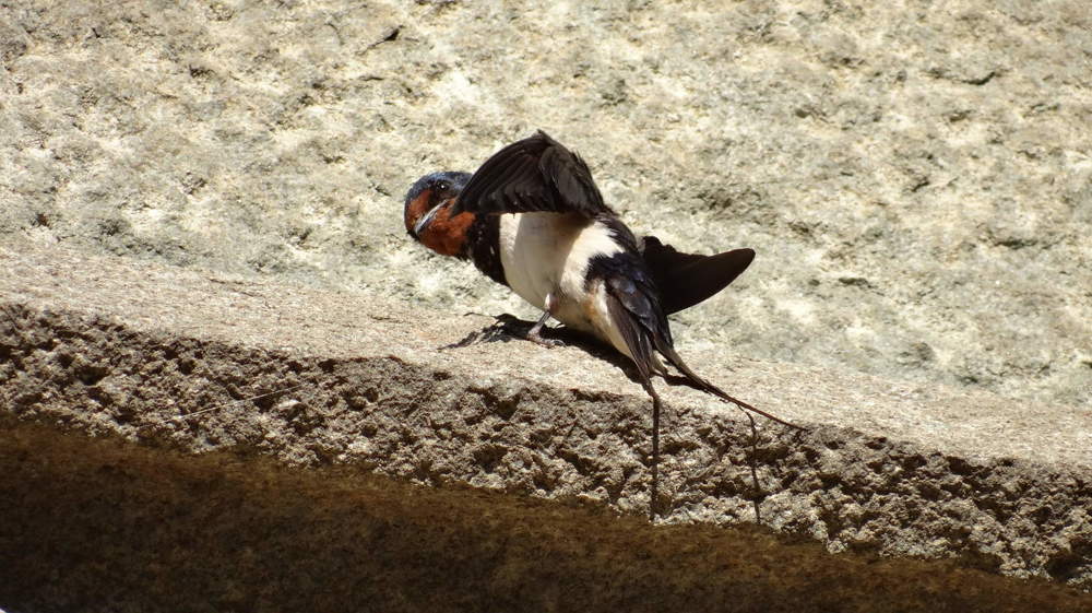 Photograph by Лусья