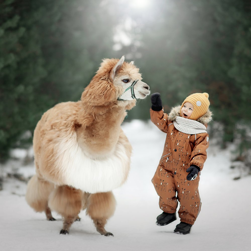 Photograph by Юлия Хабирова