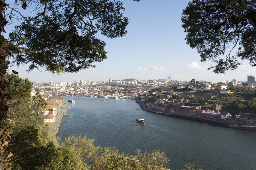 Photograph by Aparecido Donizete de Miranda