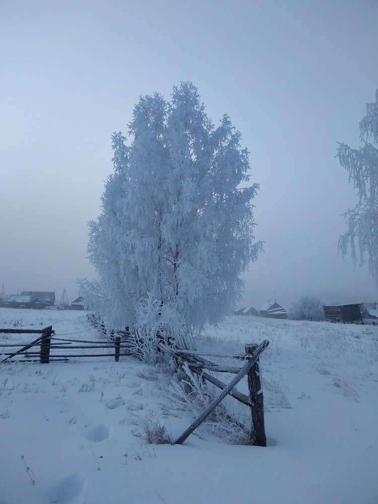 Photograph by Елена Федорова