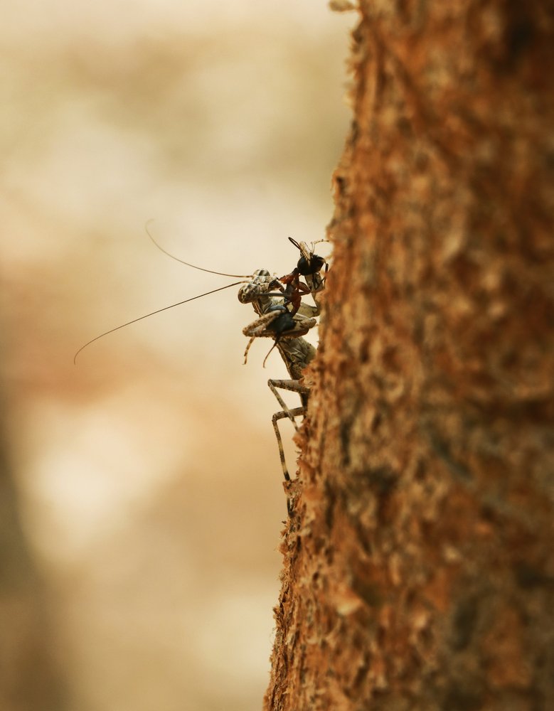 Photograph by Prajakta Desai