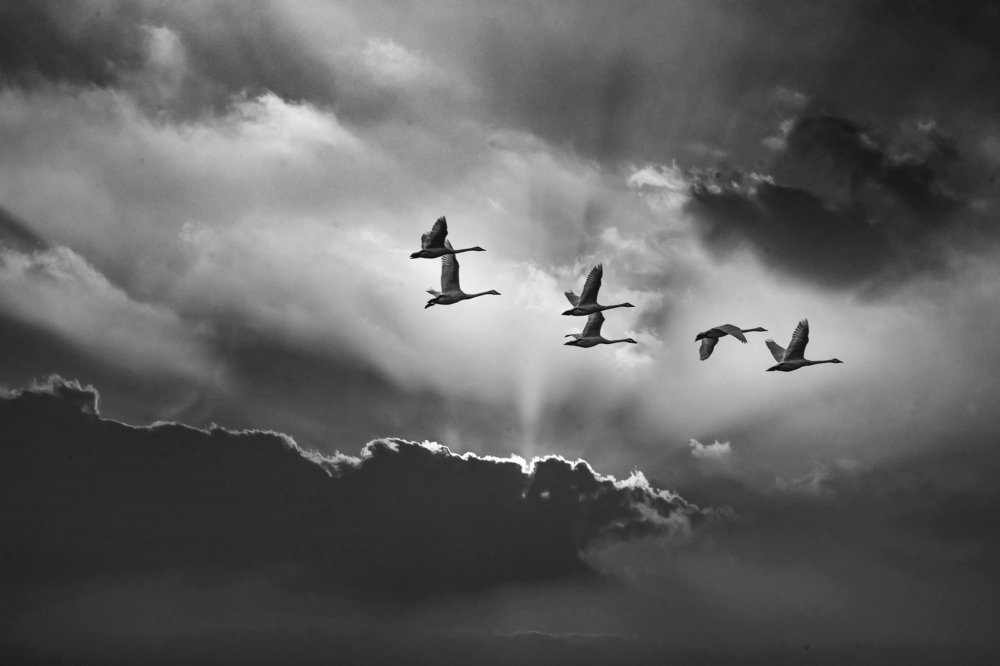 Flying With Light And Clouds