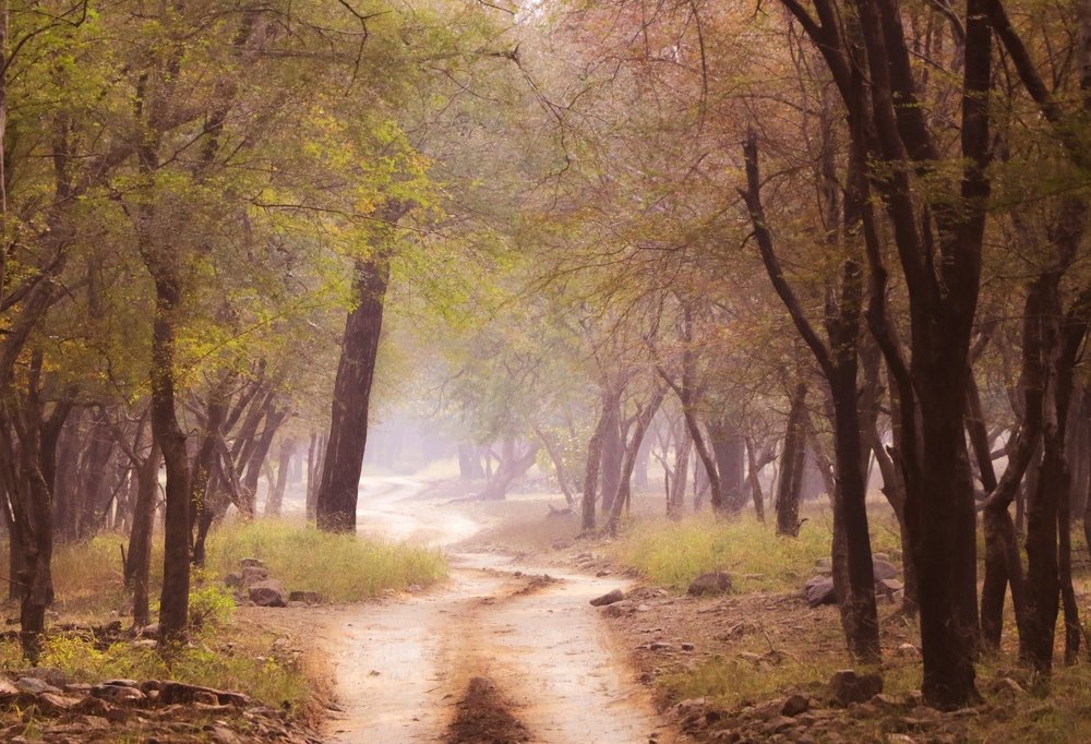 Photograph by Prajakta Desai