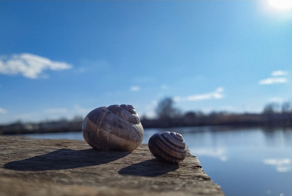 Влюблённые