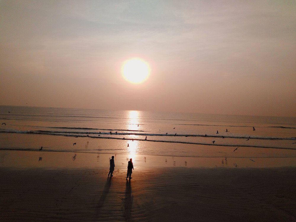Photo #4471141
