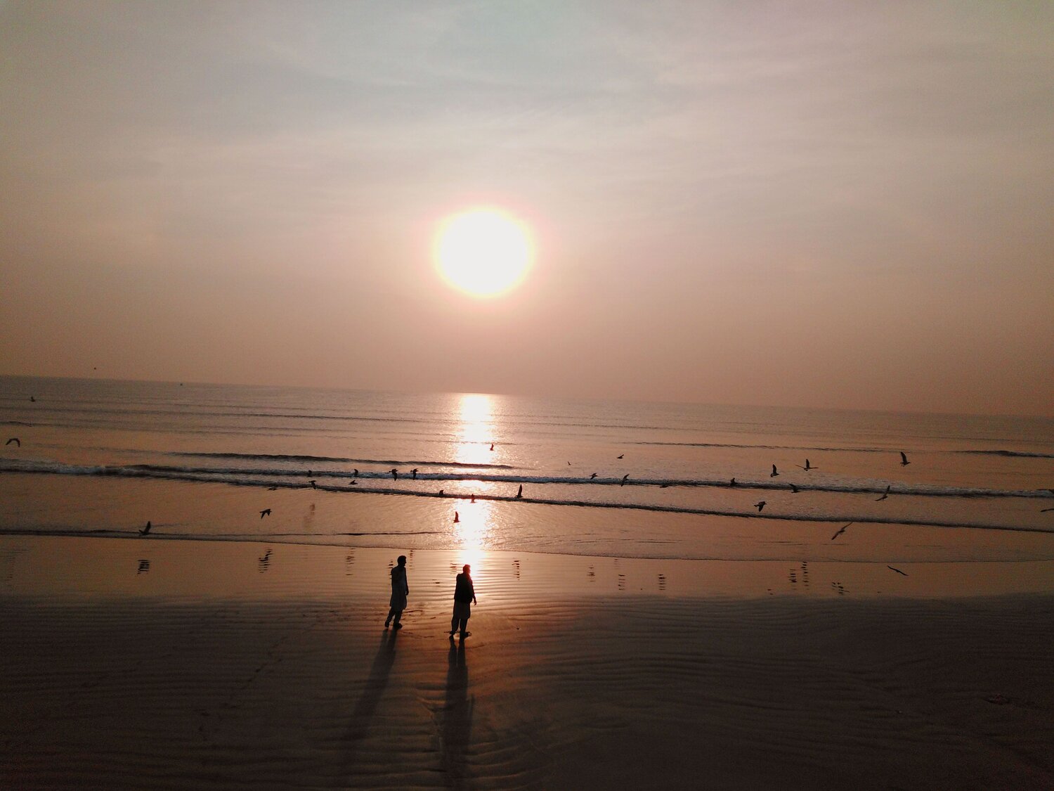 Photo #4471141