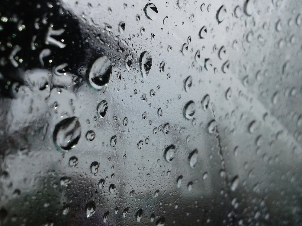 Photo #4471259