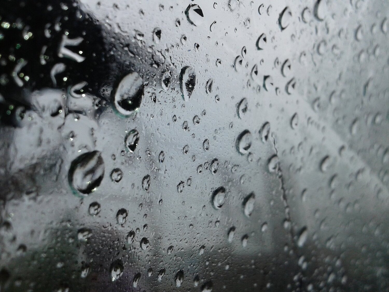 Photo #4471259