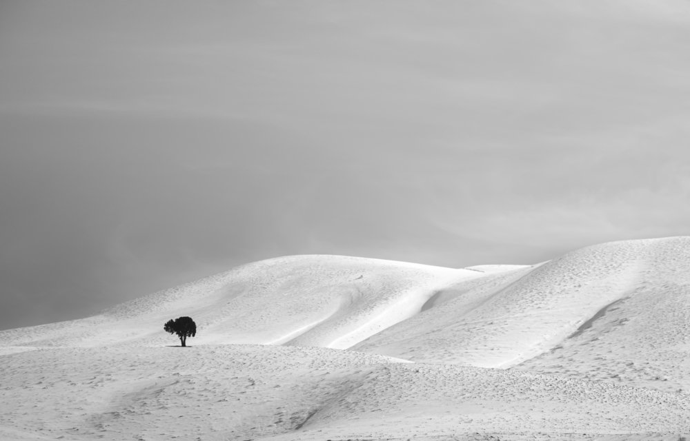 Photograph by Yones Mahmoudi