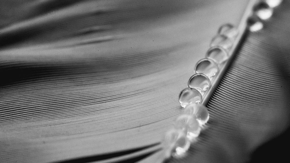 Photograph by Иван Манкевич