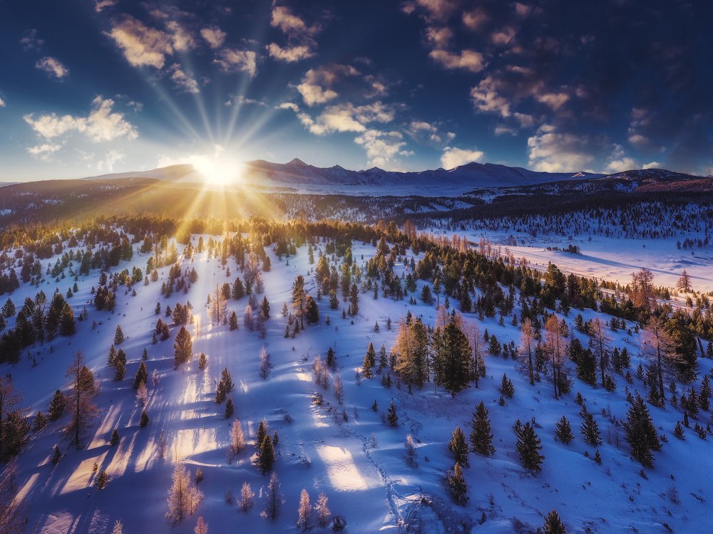 Photograph by Евгений Кожевников