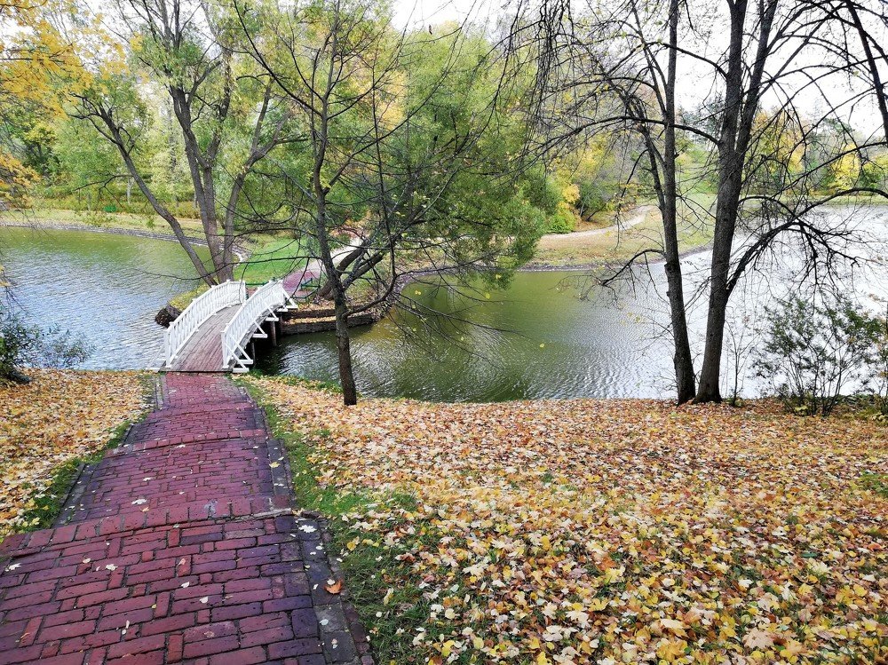 Photograph by Александр Пащенко