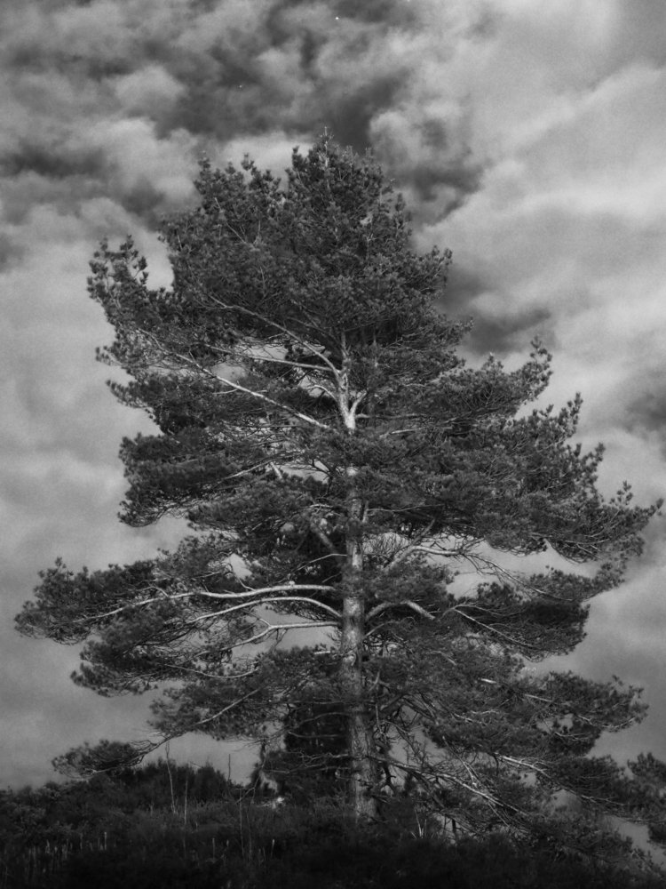 Photograph by Dumitru Constantin